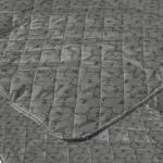 Harry Potter Hogwarts Quilted Throw Blanket, 60x80