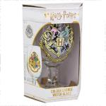 Official Harry Potter Color Change Tumbler Glass