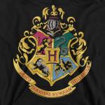 Harry Potter Hogwarts Logo Hoodie for Boys