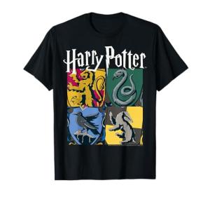 Hogwarts House Box T-Shirt - Harry Potter