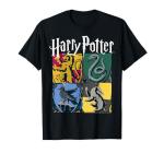 Hogwarts House Box T-Shirt - Harry Potter