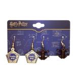 Chocolate Frog & Honeydukes Box Earrings Set