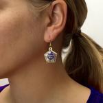 Chocolate Frog & Honeydukes Box Earrings Set