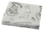 Harry Potter Spellbound Full Microfiber Bed Set