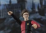Harry Potter S.H.Figuarts Action Figure - Goblet of Fire