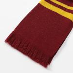 Harry Potter Striped Scarf and Hat Set