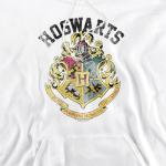Trevco Harry Potter Hogwarts Crest Unisex Adult Pull-Over Hoodie, White, Small