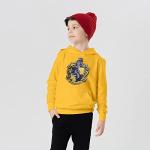 Harry Potter Youth Hoodie with Crest in Yellow