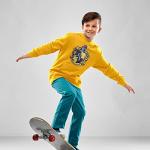 Harry Potter Youth Hoodie with Crest in Yellow