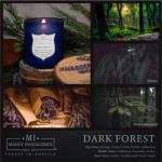 Dark Forest Scented Candle for Potter Fans