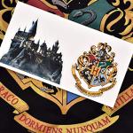 Harry Potter Logo Hoodie with Bonus Stickers