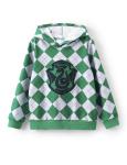 Slytherin Kids Hoodie - Harry Potter Sweatshirt