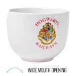 Harry Potter House Crest Ramen Bowl with Chopsticks