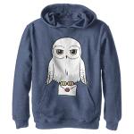 Harry Potter Warner Brothers and the Deathly Hallows Anime Hedwig Mail Youth Pullover Hoodie Navy Blue Heather