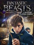 Fantastic Beasts and Where to Find Them