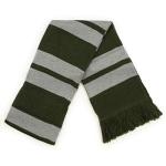 Culturefly Harry Potter House Premium Striped Scarf With Crest Patch, One Size (Green)