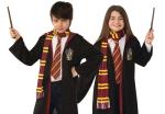 Harry Potter Scarf Costume Accessory