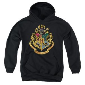 Harry Potter Hogwarts Logo Hoodie for Boys