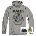 Harry Potter Hogwarts Logo Hoodie - Gray Small