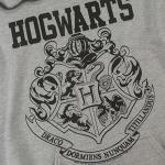 Harry Potter Hogwarts Logo Hoodie - Gray Small