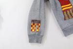 Harry Potter Grey Fleece Hoodie for Kids