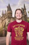 Gryffindor Quidditch Team Adult T-Shirt in Burgundy