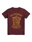 Gryffindor Quidditch Team Adult T-Shirt in Burgundy