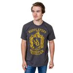 Gryffindor Slytherin Ravenclaw Hufflepuff Quidditch T-shirt