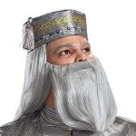 Dumbledore Wizarding World Costume Robe and Hat XL