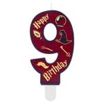 Harry Potter Wizard Birthday Candles Number 9