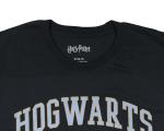 Hufflepuff Alumni Seeker Adult T-Shirt - Gold