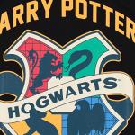 Harry Potter Hogwarts Varsity Stripe Tee - Black