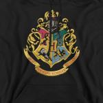 Harry Potter Logo Hoodie with Bonus Stickers