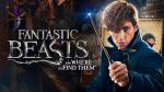 Fantastic Beasts and Where to Find Them
