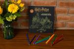 Glow in the Dark Harry Potter Coloring Book