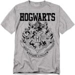 Harry Potter Hogwarts Logo Gray T-Shirt (Small)