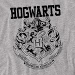 Harry Potter Hogwarts Logo Gray T-Shirt (Small)