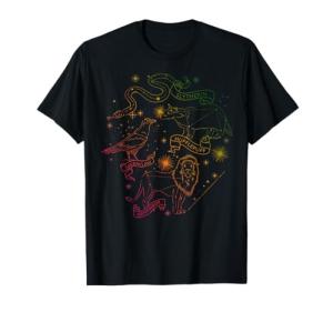 Hogwarts Rainbow Line Art T-Shirt