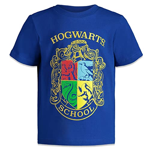 Harry Potter Boys 3-Pack T-Shirts Blue/Grey/Red 18-20