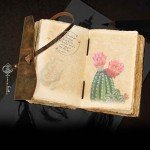 Vintage Leather Harry Potter Journal with Deckle Edge Paper
