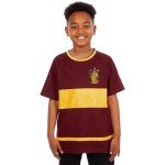 Boys' Gryffindor Quidditch T-Shirt - Size 8