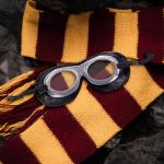 Official Quidditch Goggles: Harry Potter Wizarding World Accessory