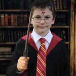 Harry Potter Wizard Costume Set with Wand and Glasses
