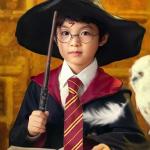 Harry Potter Wizard Costume Set with Wand and Glasses