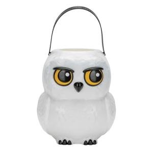 Harry Potter Hedwig Halloween Treat Bucket