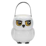 Harry Potter Hedwig Halloween Treat Bucket
