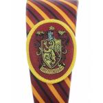 Harry Potter House Headbands for Women and Girls