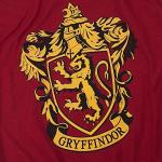 Gryffindor Logo T-Shirt & Stickers Set