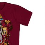 Harry Potter Hogwarts House Boys T-Shirt - Maroon