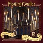 Floating Candles with Wand - Harry Potter Theme